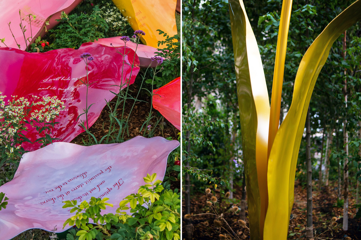 flowers by frances plowden